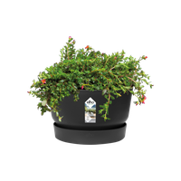 greenville coupe 33cm living noir